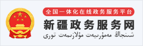 新疆政務服務網